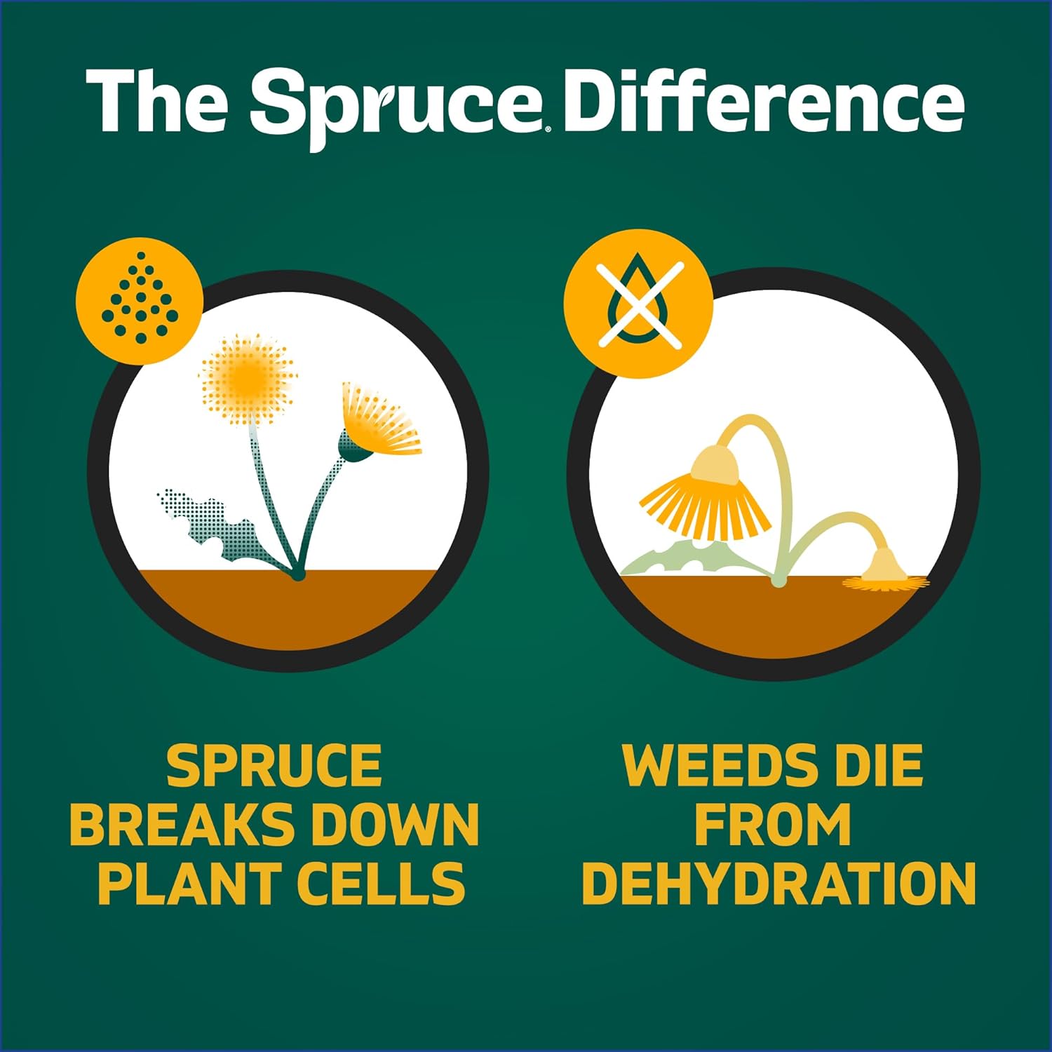 Secondary Images for Amazon.com : Spruce Weed Killer Spray