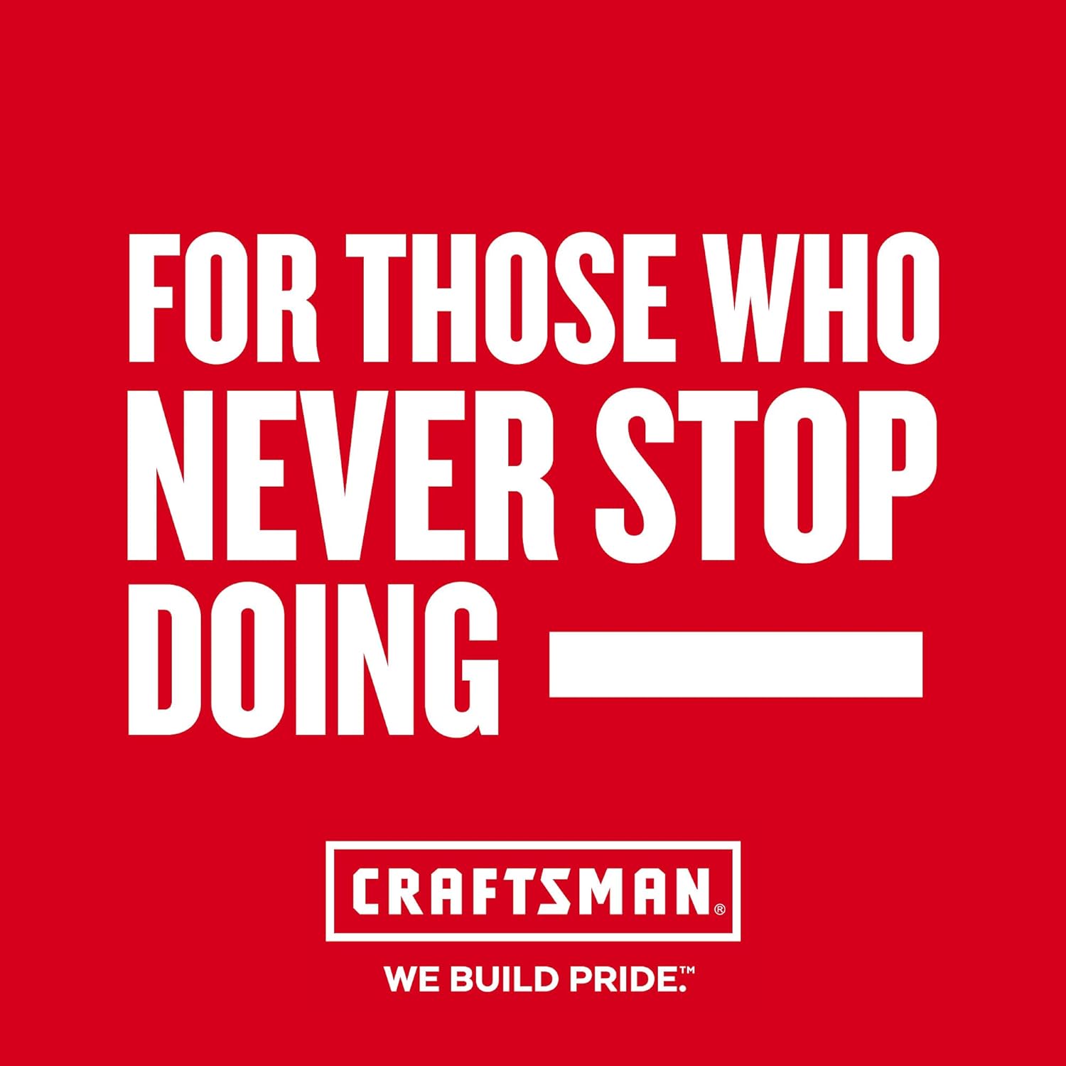 Secondary Images for CRAFTSMAN Pliers