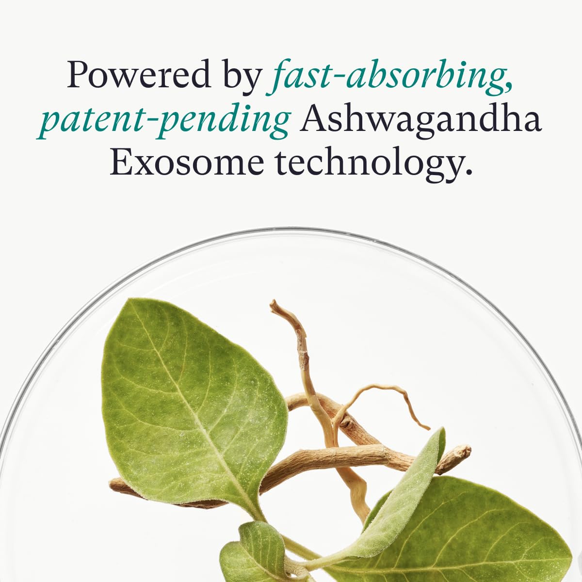 Highlights the product's key technology and absorption capability as its primary benefit.