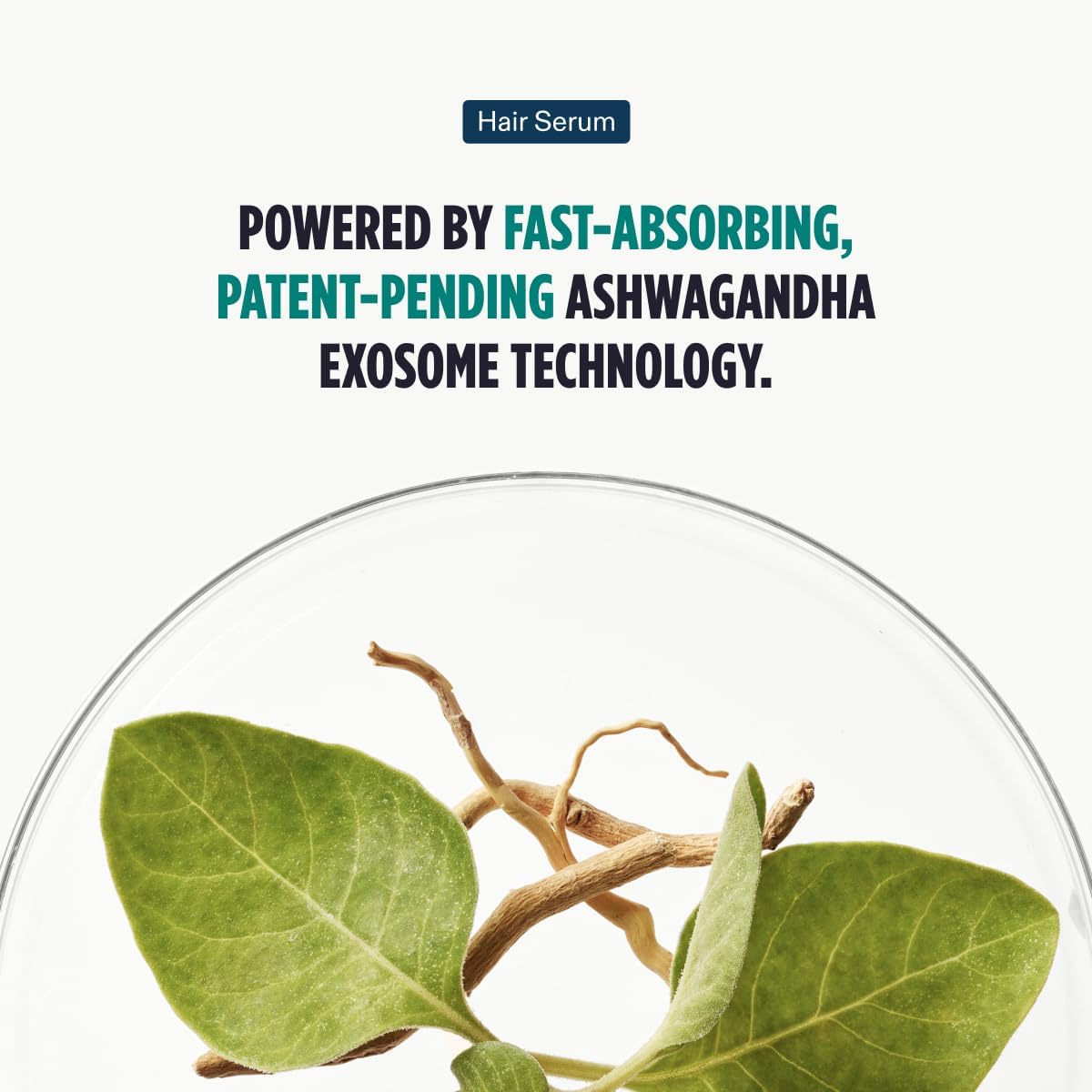 Highlights the key feature of the hair serum - its fast-absorbing and patent-pending Ashwagandha Exosome Technology for effective absorption.