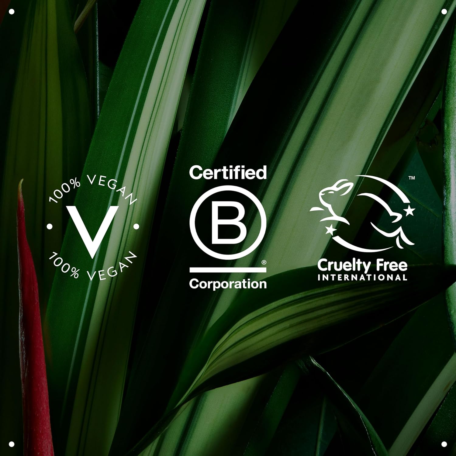 Highlights certifications that the product is 100% vegan and cruelty-free, reassuring customers of its ethical and sustainable production.