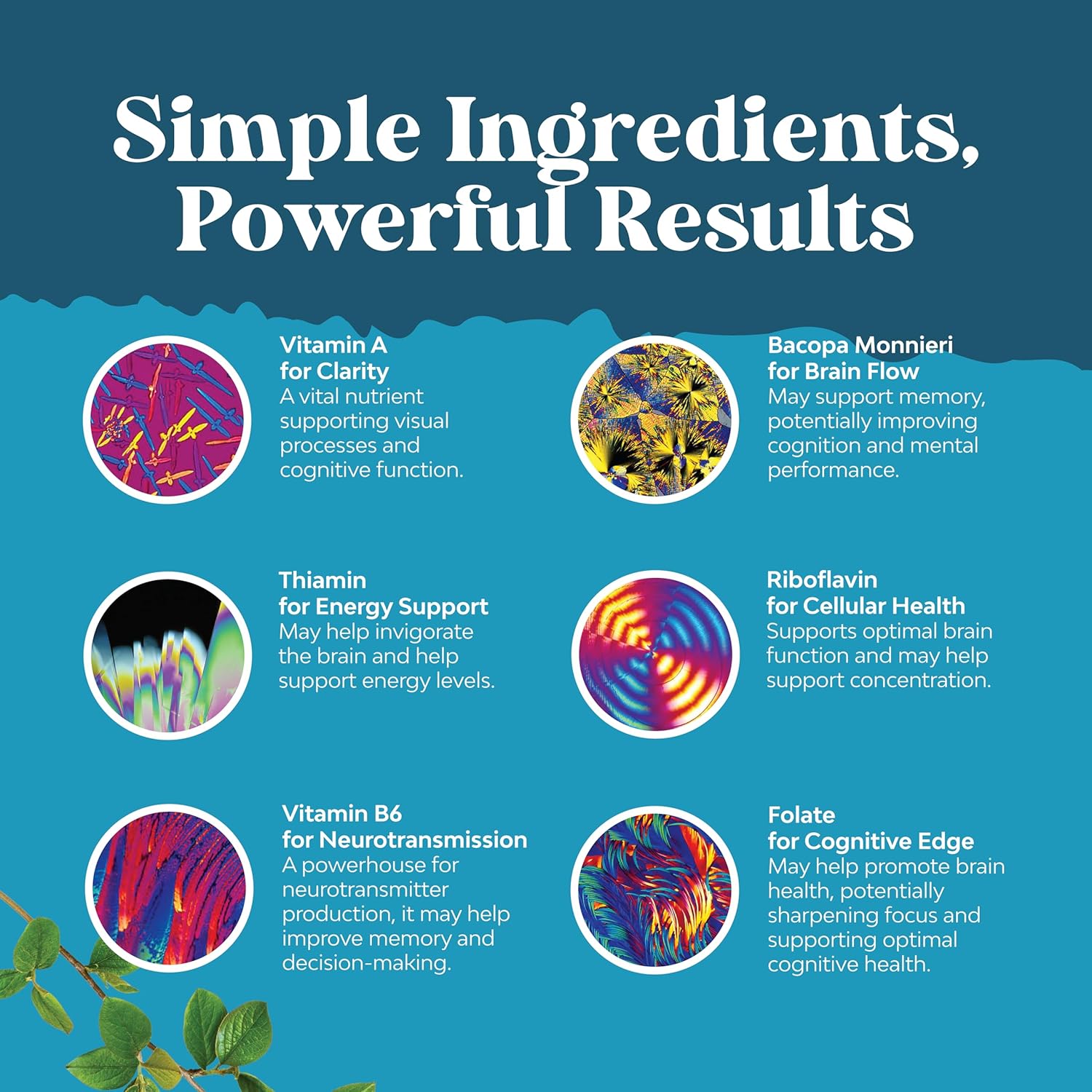 Showcases multiple key ingredients in the product and their specific benefits for brain health and cognitive function.