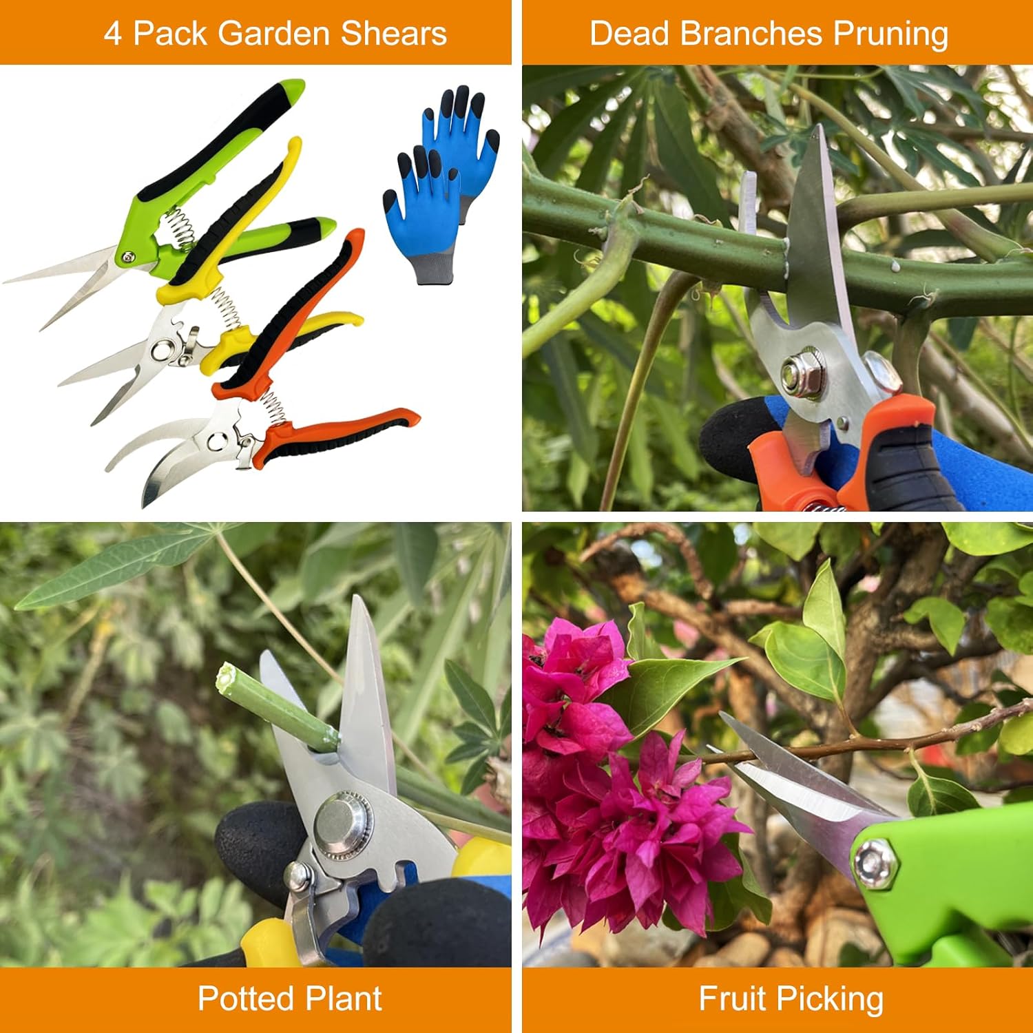 Demonstrates the various gardening tasks these shears can perform, from pruning dead branches to trimming potted plants and harvesting fruit.