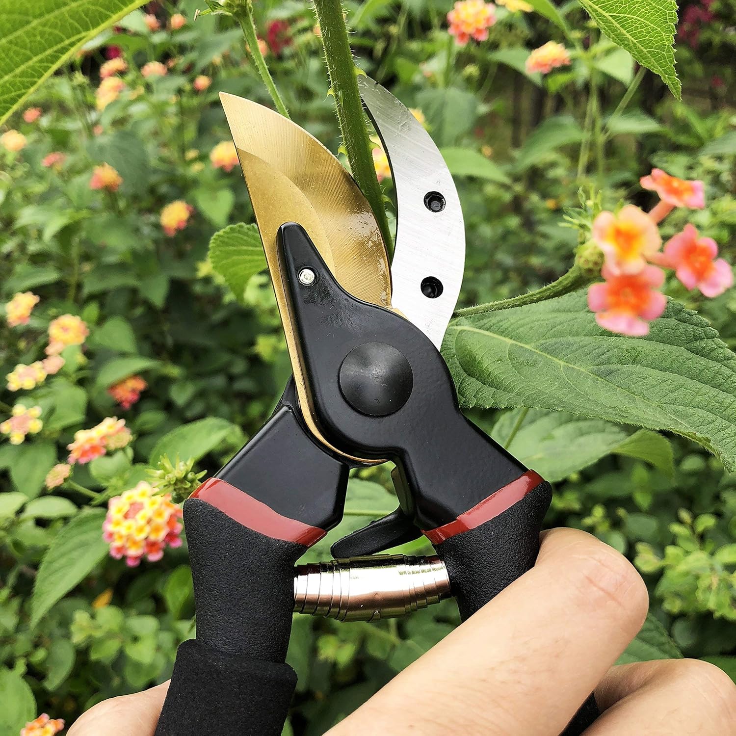 Demonstrates the product being used in a real garden setting, showing its practical application for pruning plants.