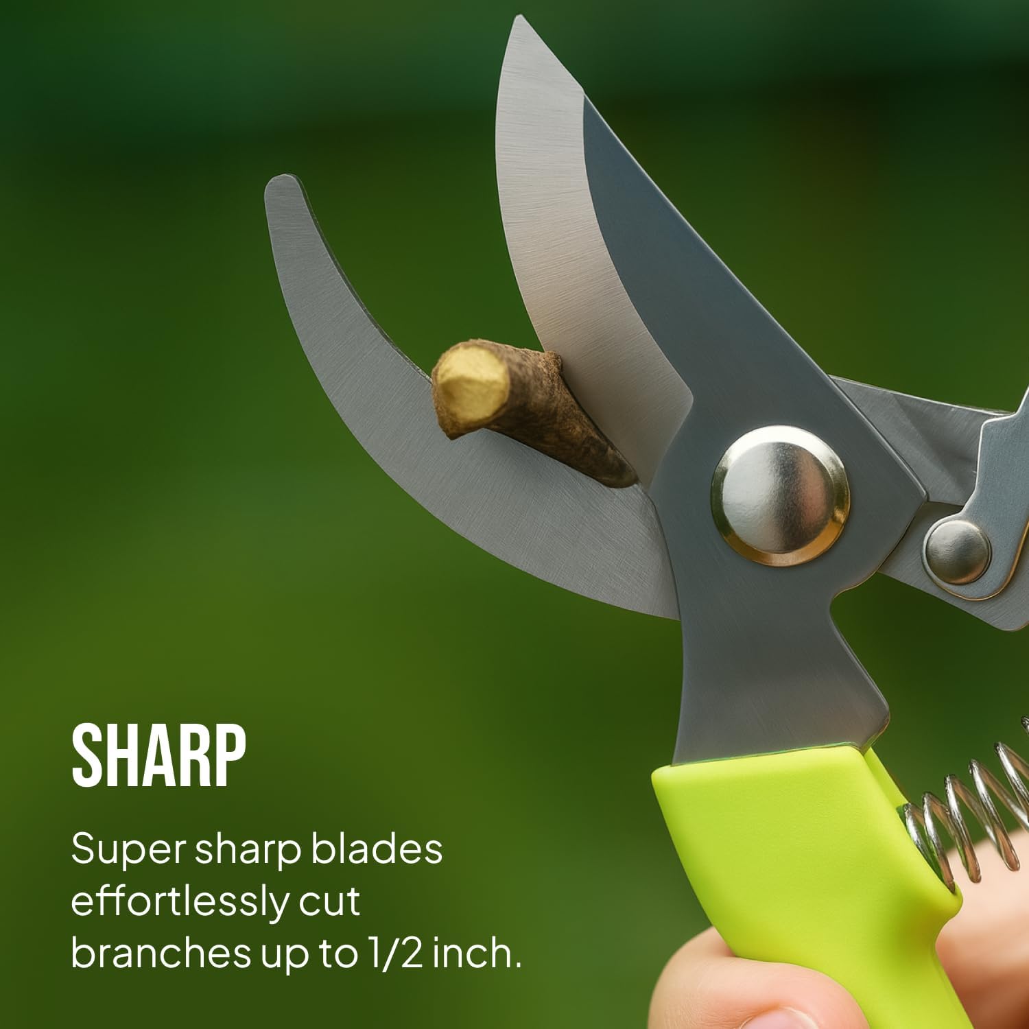 Demonstrates the product's sharp cutting ability, showing it can easily cut through branches up to 1/2 inch thick.