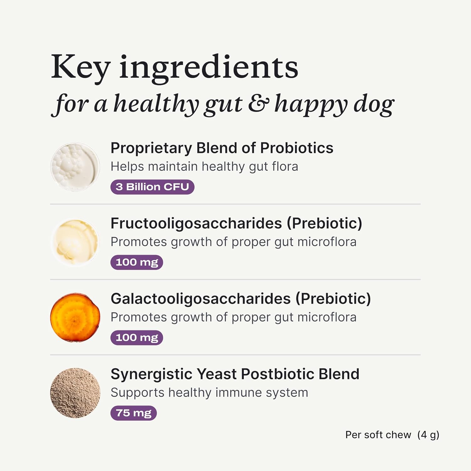 Highlights the key ingredients and their benefits for maintaining a healthy gut and supporting the immune system in dogs.