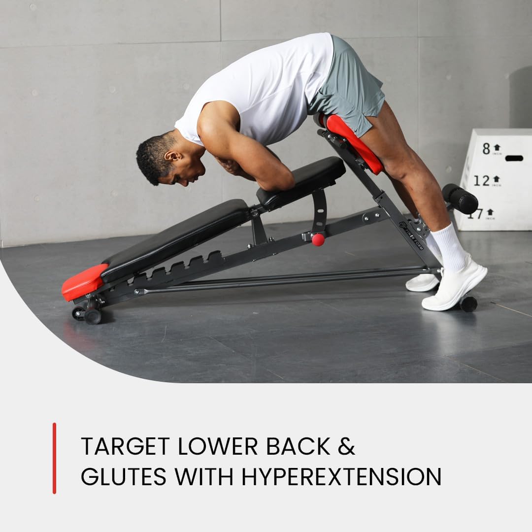Demonstrates the correct form for performing a hyperextension exercise to target lower back and glutes muscles. Shows how to use the adjustable bench for…