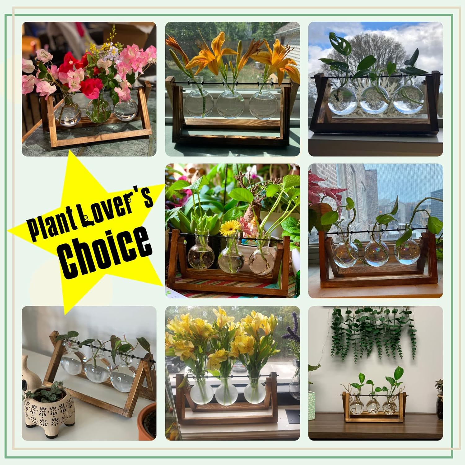 Showcases various ways to use the product for displaying different types of plants and flowers, demonstrating its versatility for plant lovers.