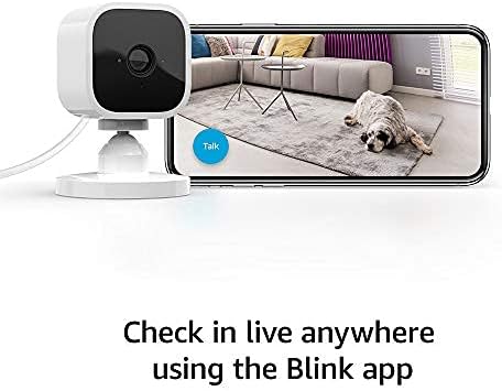 Secondary Images for Blink Mini