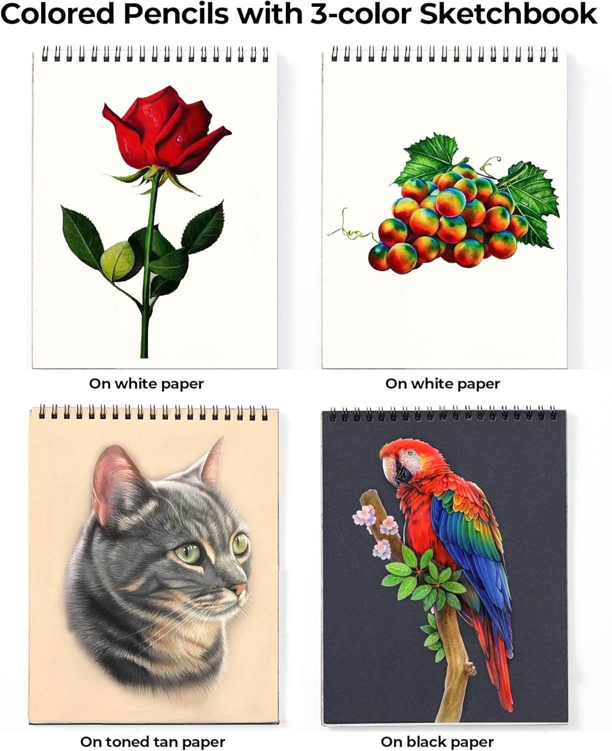 Demonstrates the sketchbook's ability to showcase colored pencil artwork on different paper types, highlighting the versatility and color vibrancy achievable.