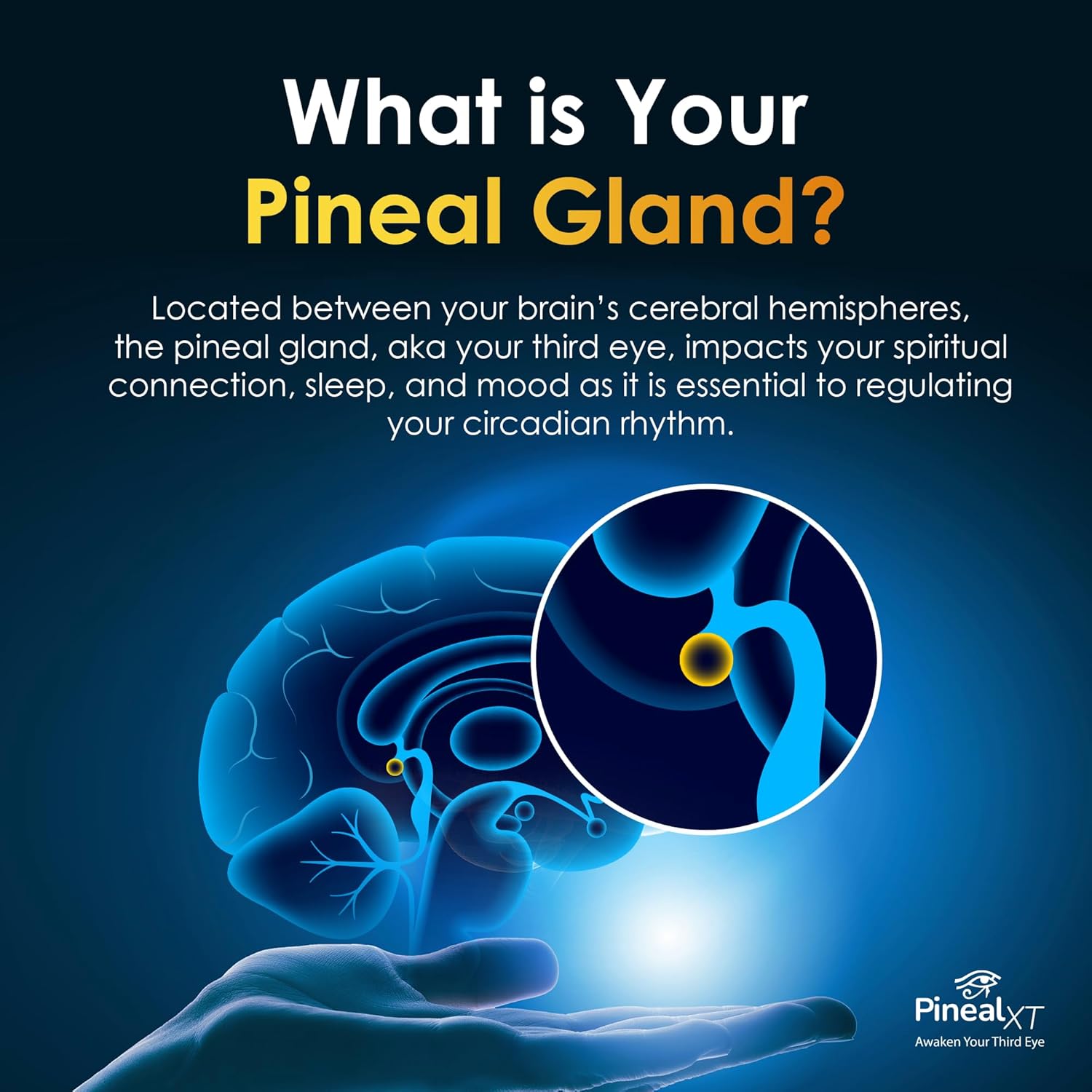 Secondary Images for Pineal XT Gold