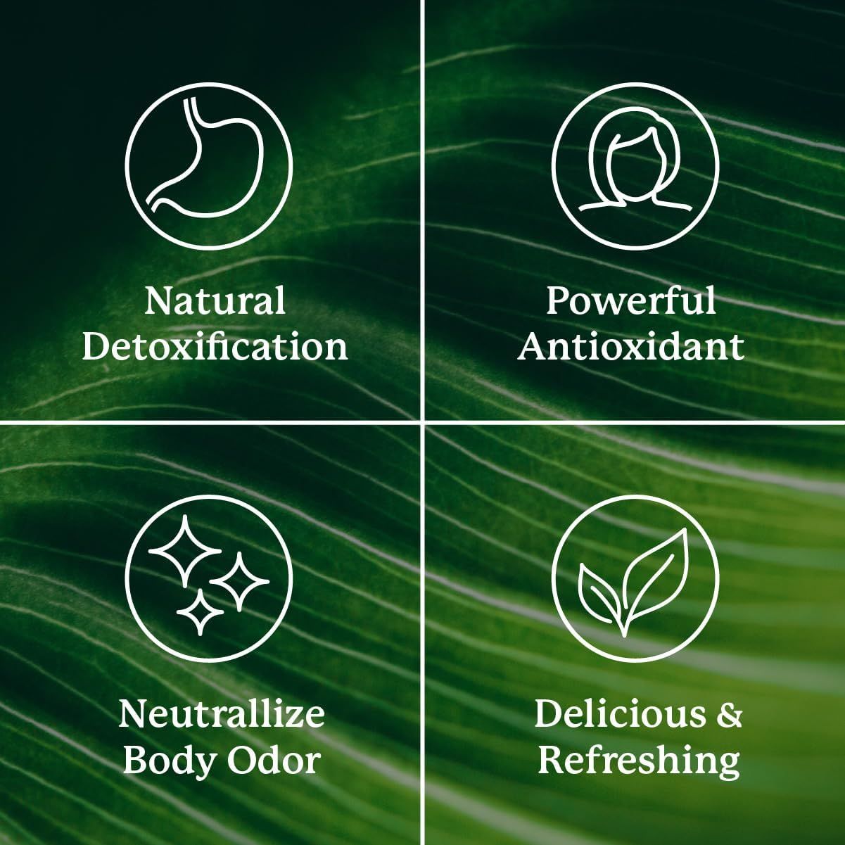 Highlights multiple health benefits of the product, emphasizing its natural and effective properties for overall wellness.