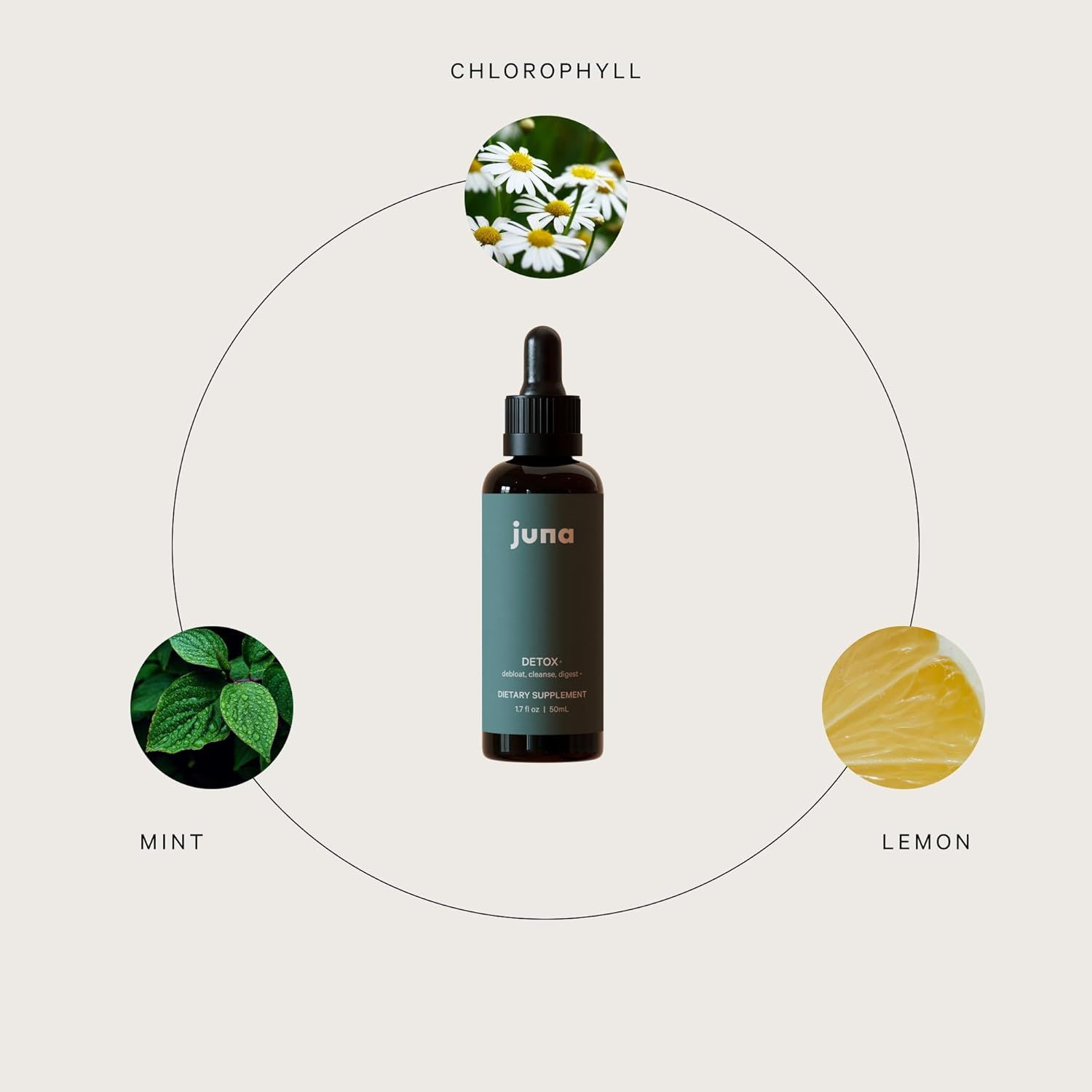 Highlights the key natural ingredients (chlorophyll, mint, lemon) in the detox supplement to communicate its natural and effective cleansing properties.