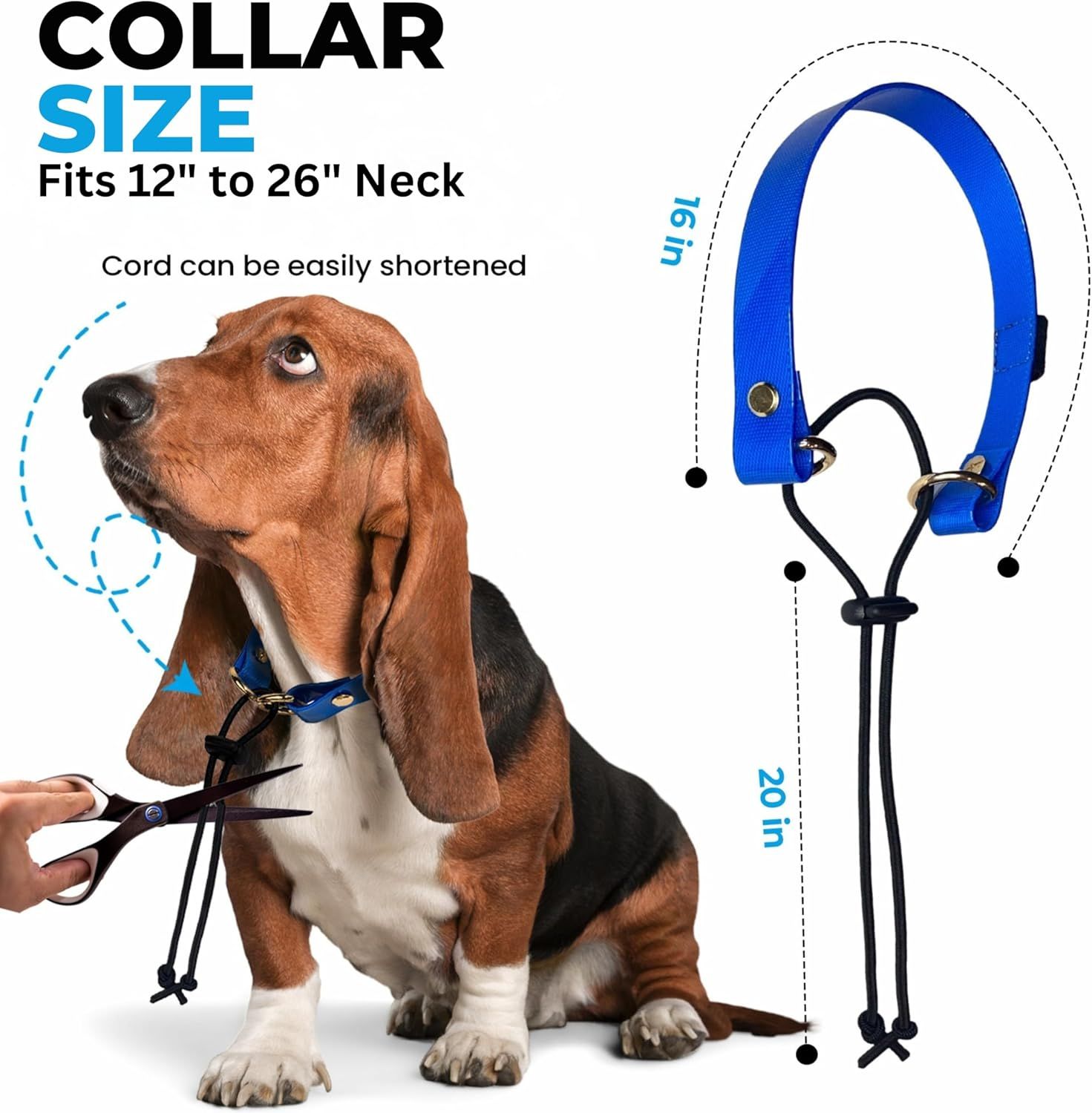 Communicates the adjustable sizing range of the dog collar to help shoppers determine if it will fit their pet, showing both the collar dimensions and how the cord can be shortened.