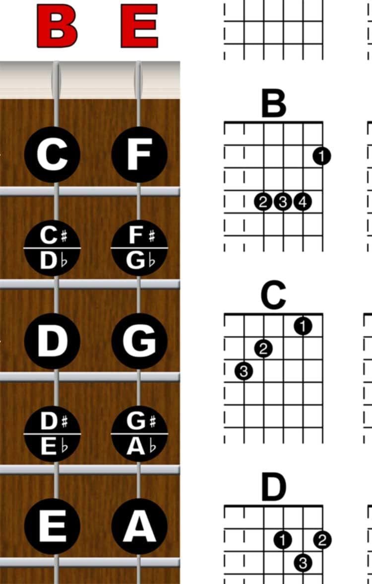 This image breaks down the guitar fretboard by labeling each note position and provides chord diagrams to help users understand where to place their fingers for different chords.