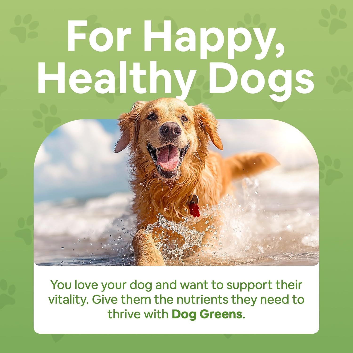Establishes brand identity and emotional connection by emphasizing the product's mission to support happy, healthy dogs through proper nutrition.