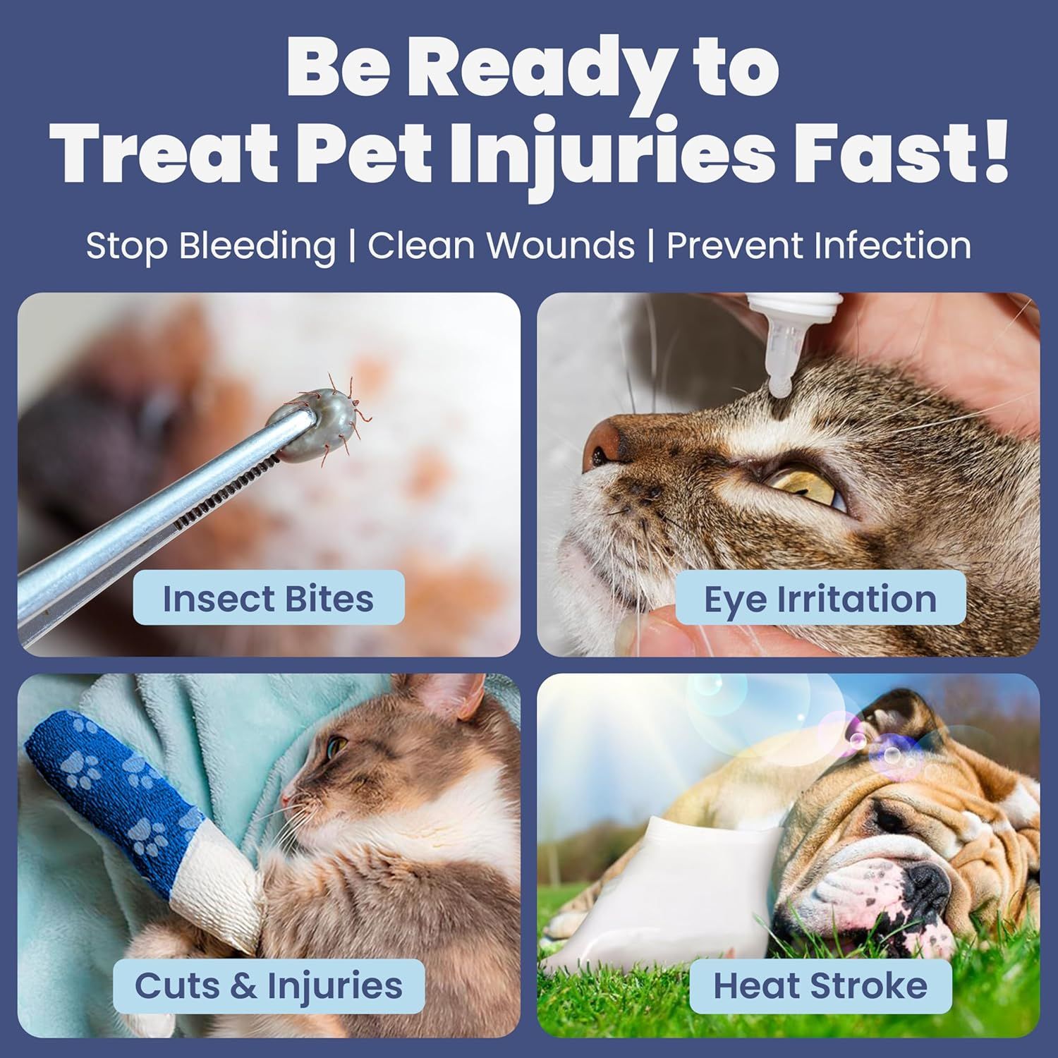 Demonstrates the multiple use cases for a pet first aid product by showing different types of injuries and conditions it can treat, helping shoppers understand the product's versatility.