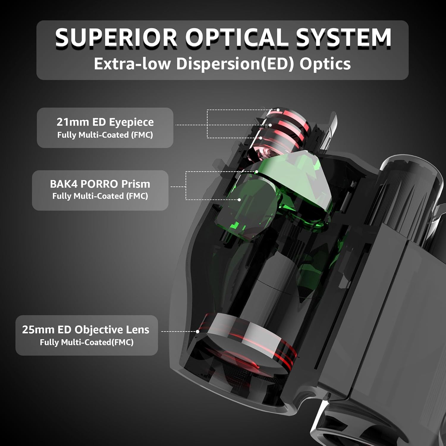 This image breaks down the internal optical components of the binoculars to demonstrate the superior quality and technical specifications of the optical…