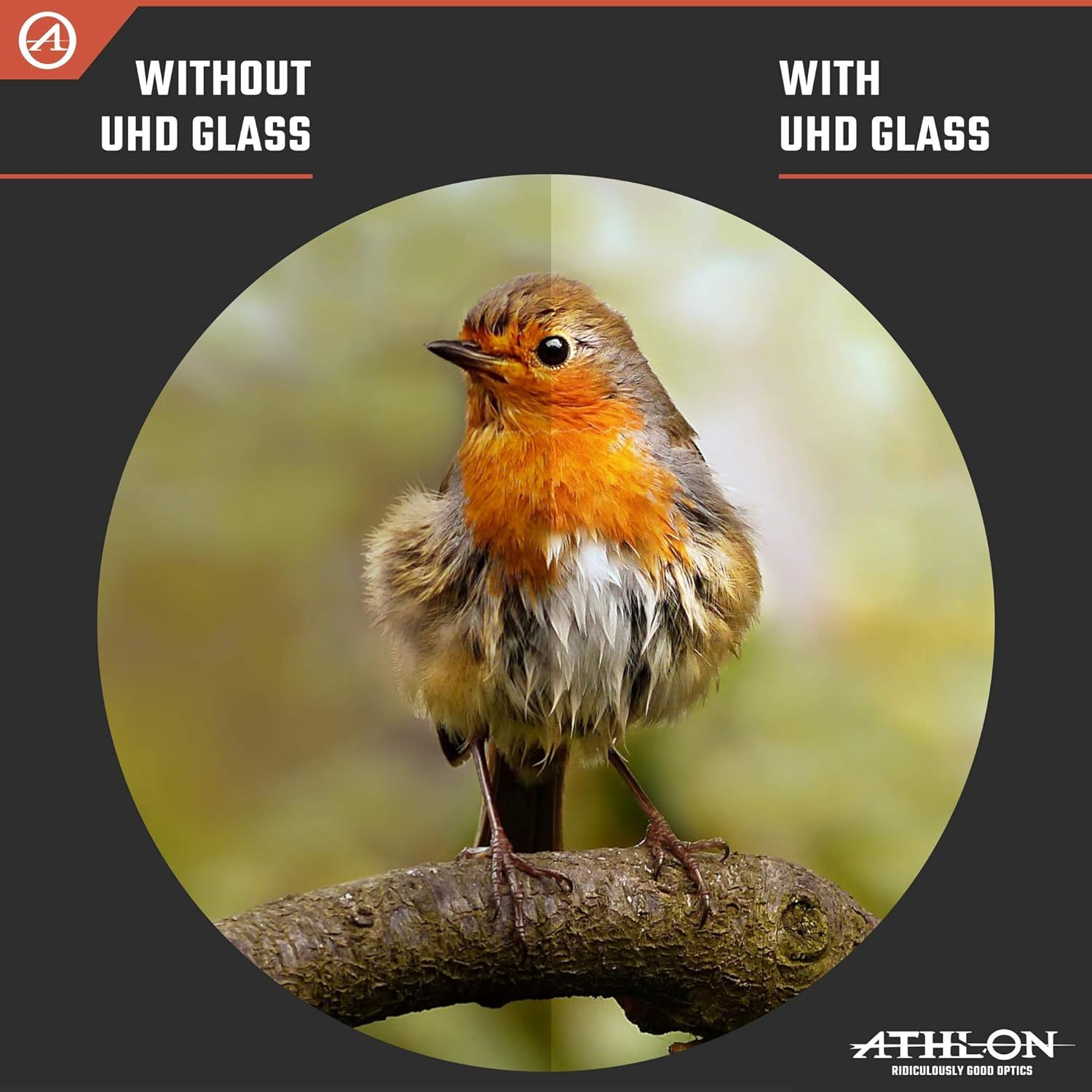 Demonstrates the visual clarity improvement when using UHD glass, showing the same bird photo with and without the product to prove enhanced image quality.