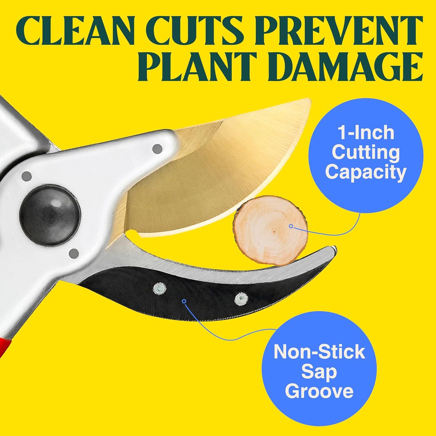 Highlights the physical design features of the pruning shears, showing the cutting capacity and non-stick sap groove to demonstrate how the tool is engineered…