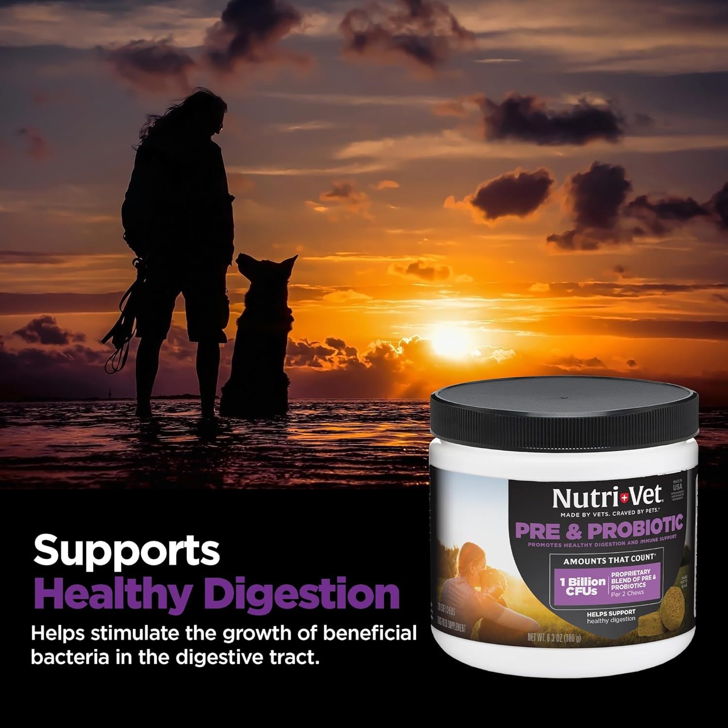 Communicates that the product supports healthy digestion in dogs by promoting beneficial bacteria growth, using an emotional lifestyle backdrop to connect…