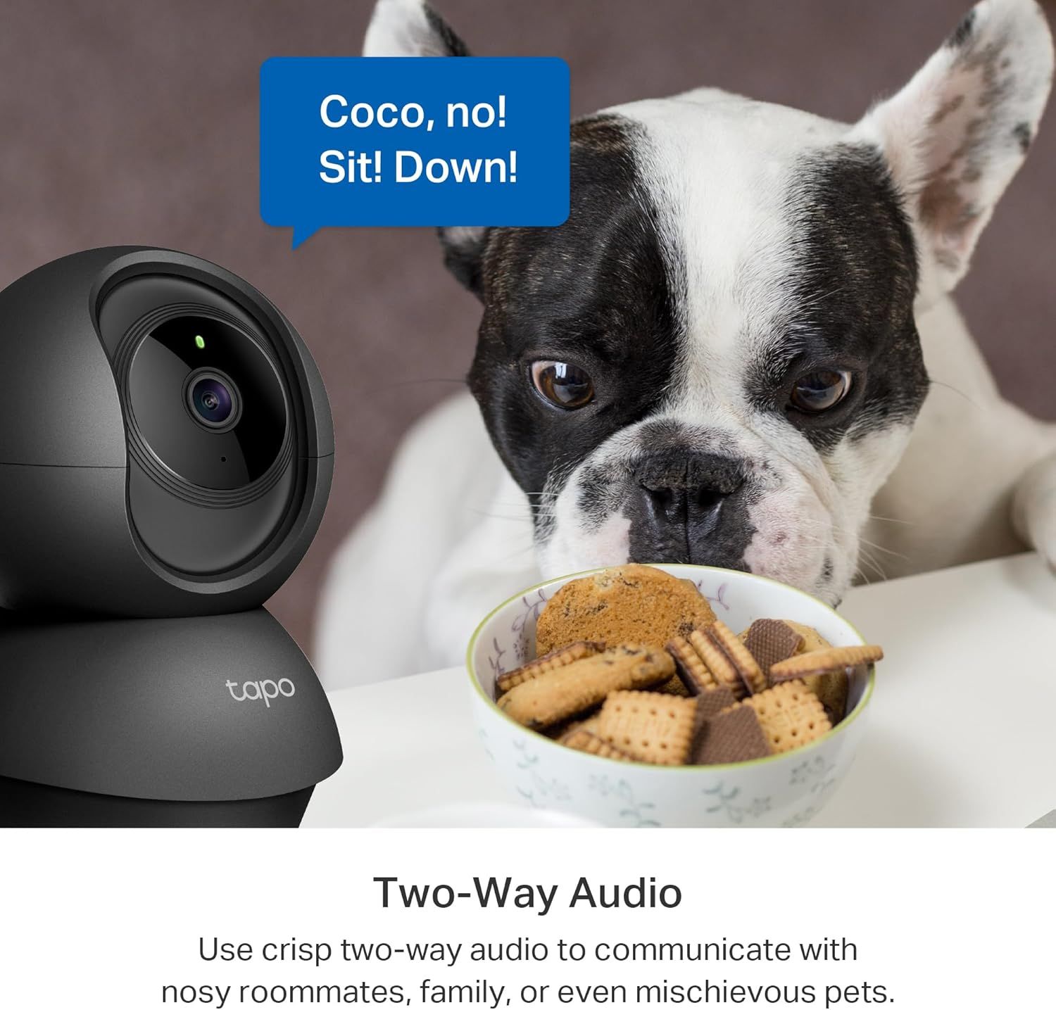 Demonstrates the camera's two-way audio feature, showing how users can communicate remotely with pets or family members to give commands or interact in…