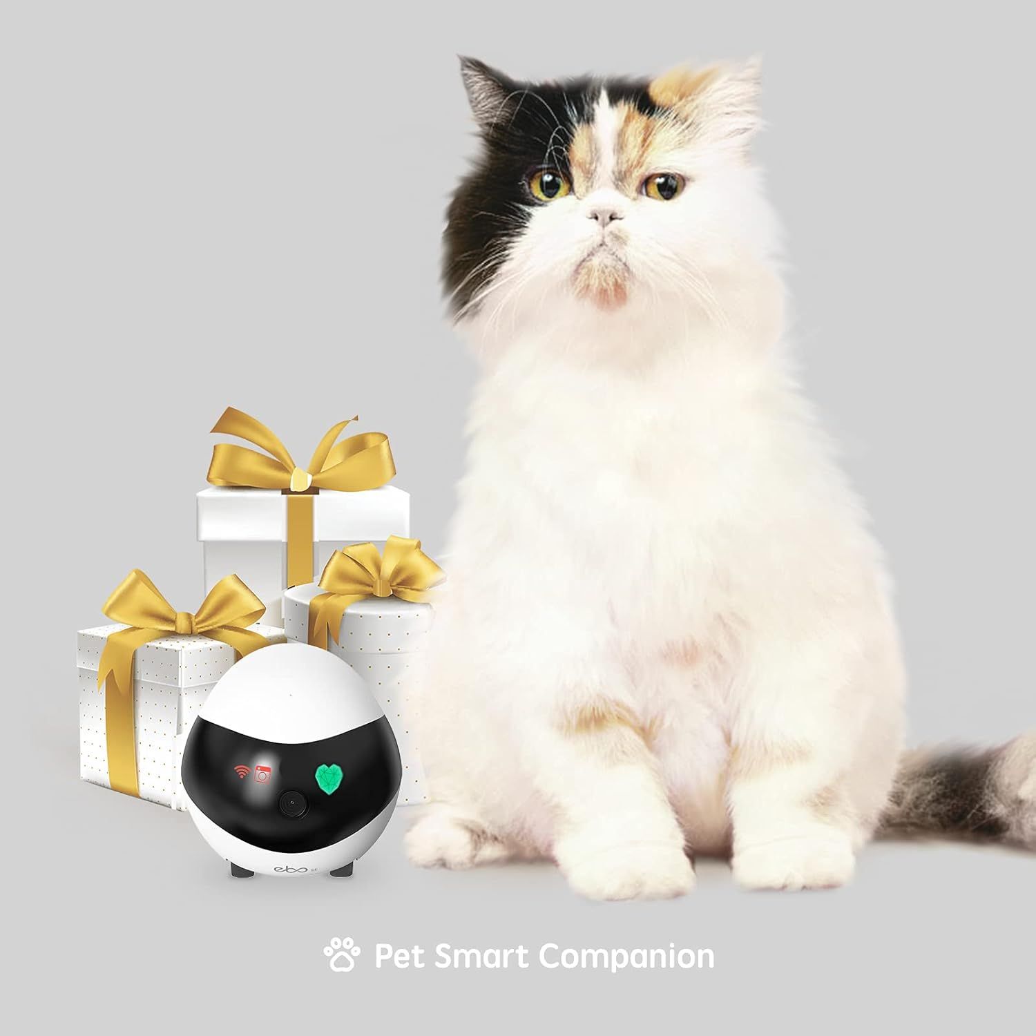 Positions the pet smart companion device as a perfect gift for pet owners, using gift boxes with ribbons to create a seasonal gifting appeal.