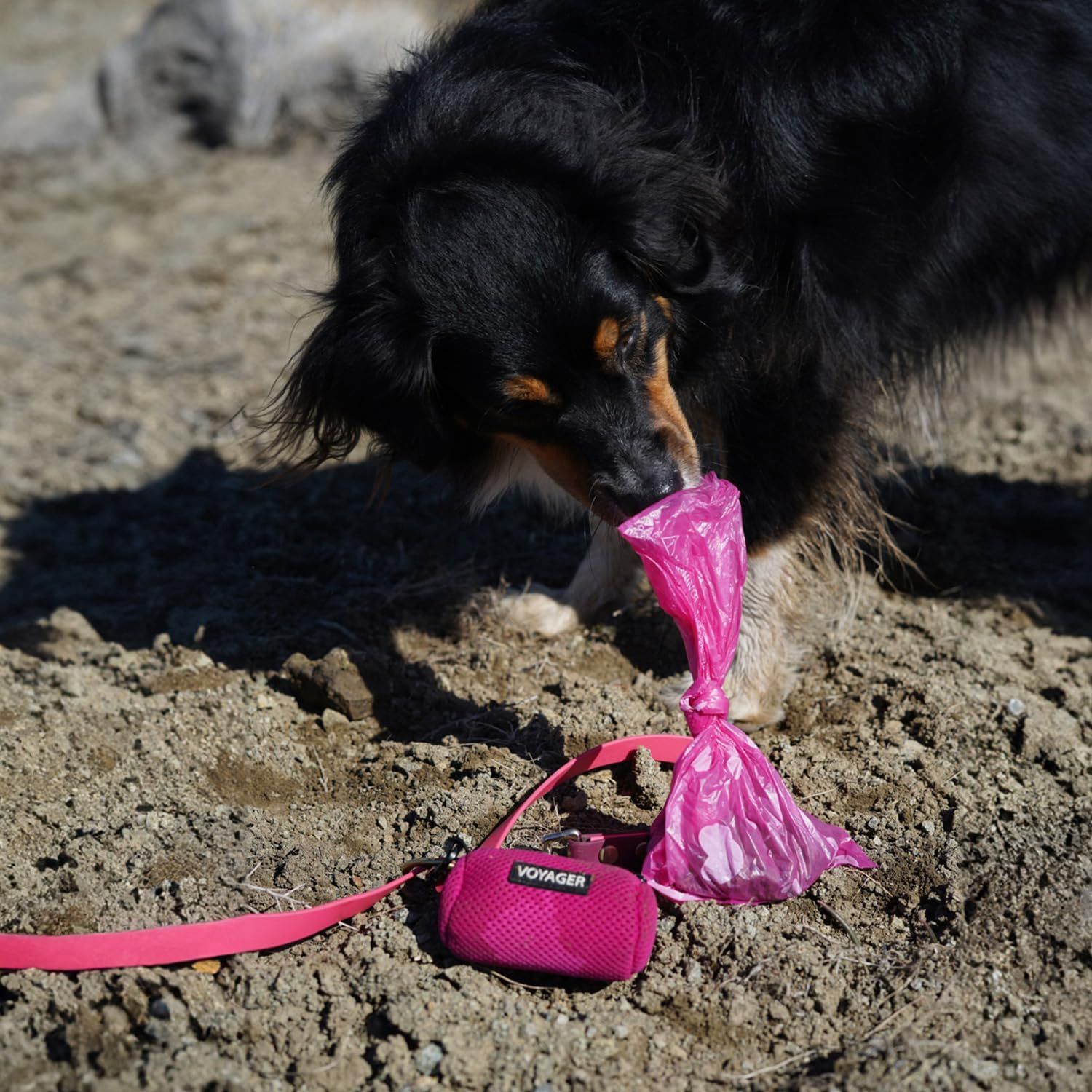 Shows the product being used in a natural outdoor setting with a dog, demonstrating real-world application and helping shoppers visualize the product in everyday use.
