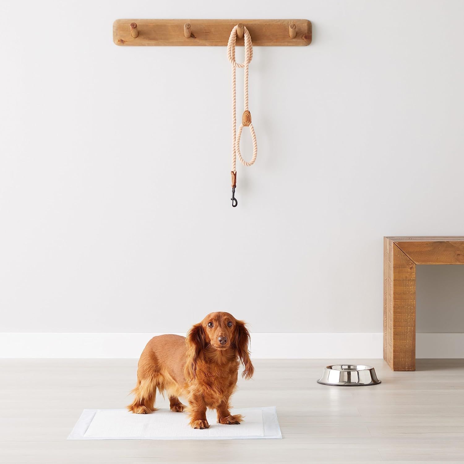 Demonstrates the product in a real-world home setting with a dog to show how it naturally fits into a pet owner's lifestyle and living space.