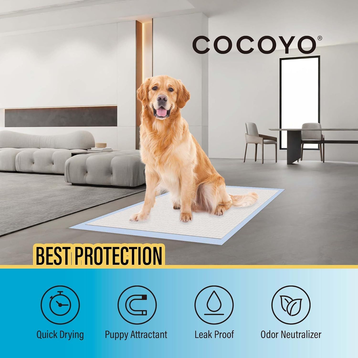Communicates four distinct benefits of the pet training pad in a segmented layout to show shoppers why this product offers comprehensive protection and…