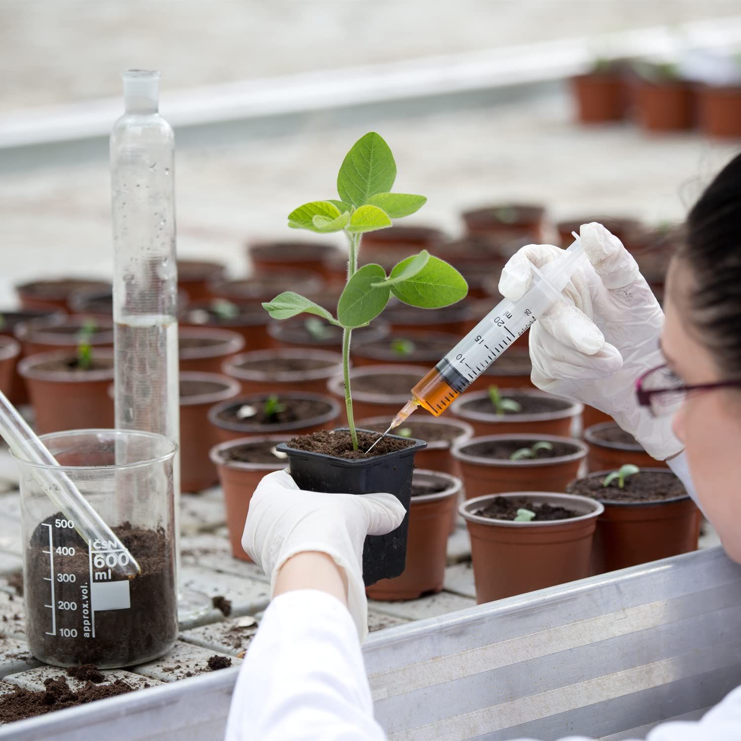 Demonstrates the product in a real-world professional or scientific context, showing the product being used in plant research or cultivation without any text overlay or feature callouts.