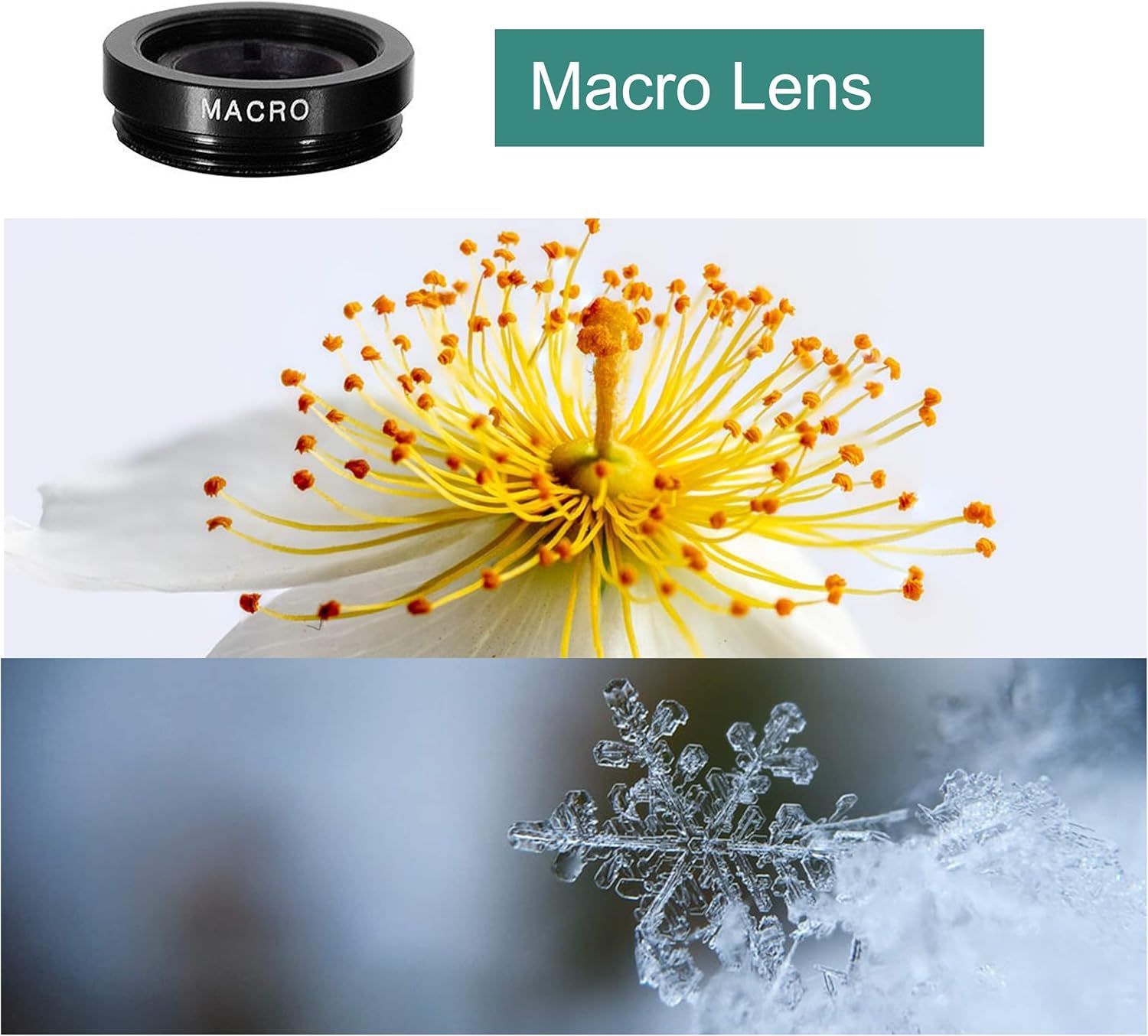 Demonstrates the macro lens's ability to capture extreme close-up detail of small subjects like flowers and snowflakes, showing shoppers the quality and clarity they can achieve.