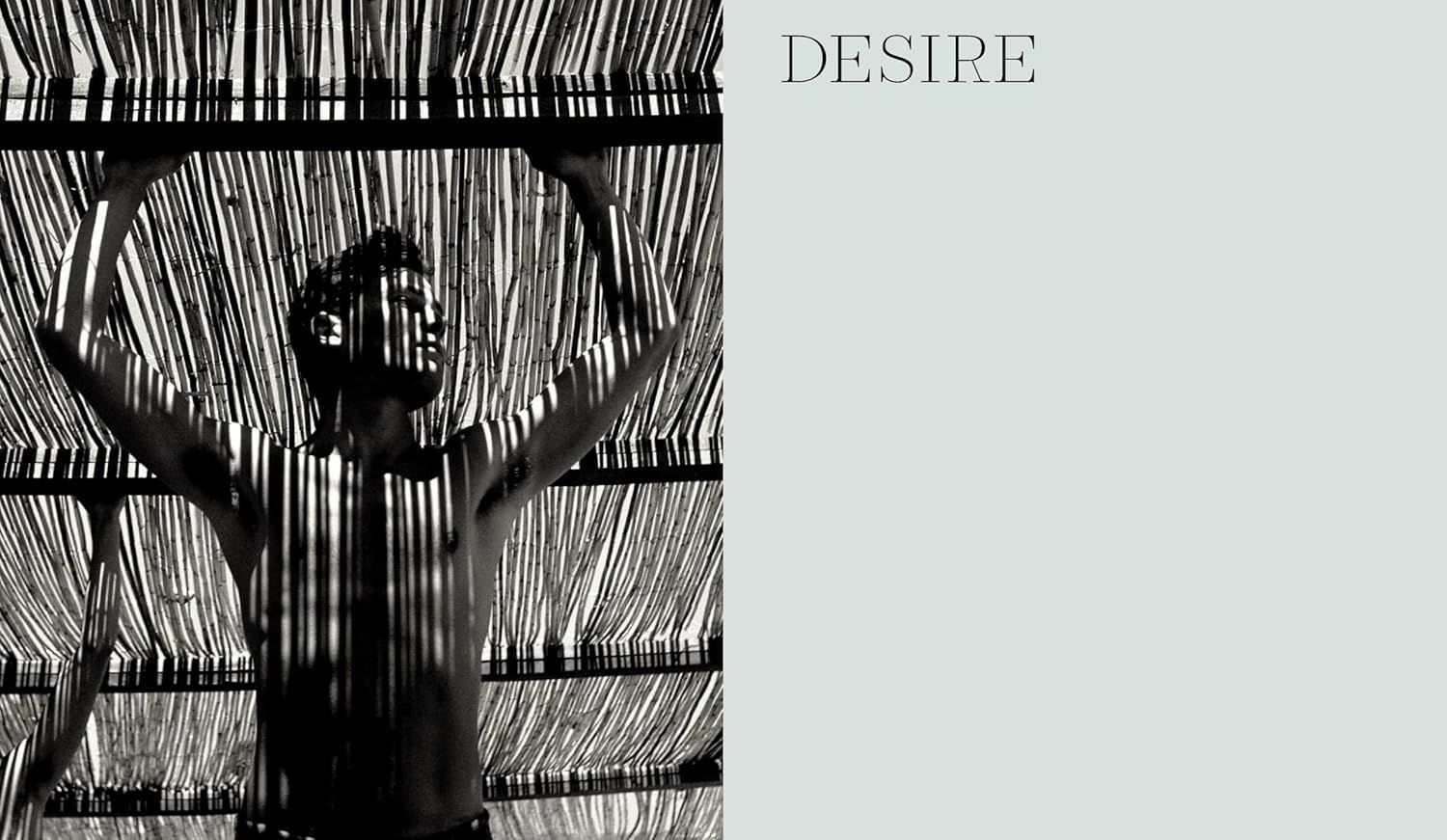 This image establishes brand identity and emotional positioning through artistic, high-fashion imagery paired with the word DESIRE, creating an aspirational and sophisticated brand perception.