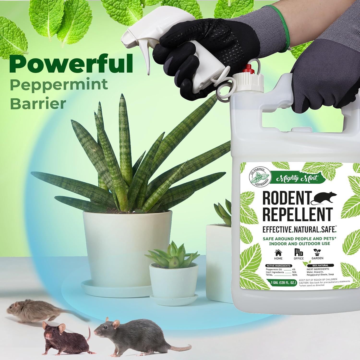 Communicates that the product uses a powerful peppermint formula as a natural barrier to repel rodents, reassuring shoppers of its effectiveness and safety…