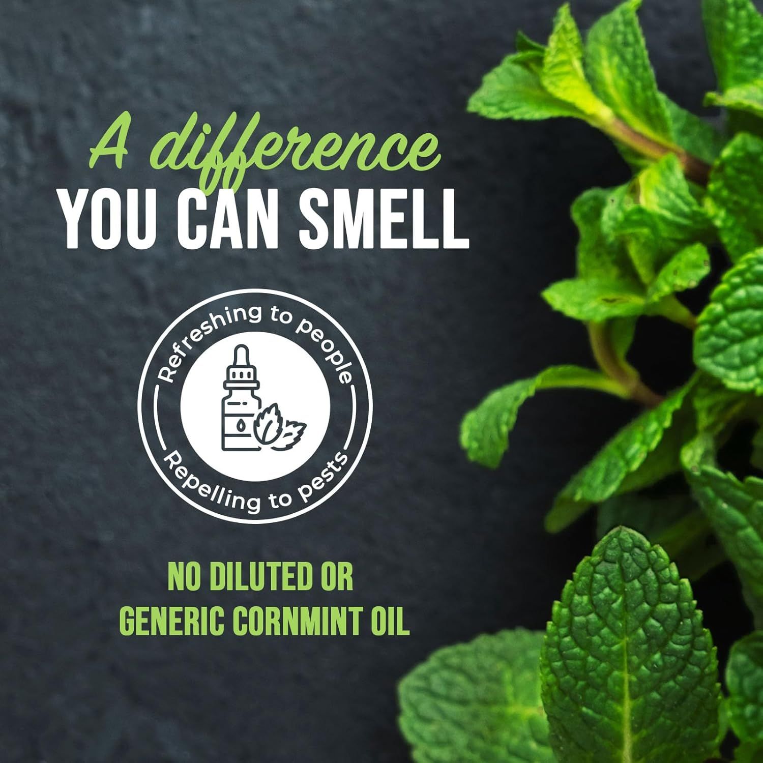Communicates that this product uses undiluted, premium cornmint oil that is refreshing to people and repelling to pests, differentiating it from diluted or…