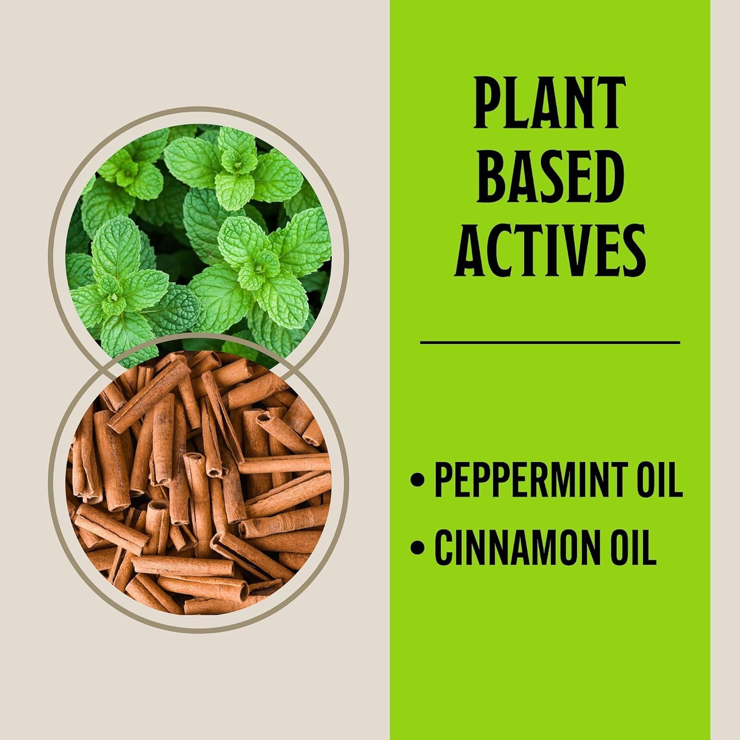 Communicates that the product contains natural plant-based active ingredients (peppermint oil and cinnamon oil) to reassure shoppers seeking natural or…