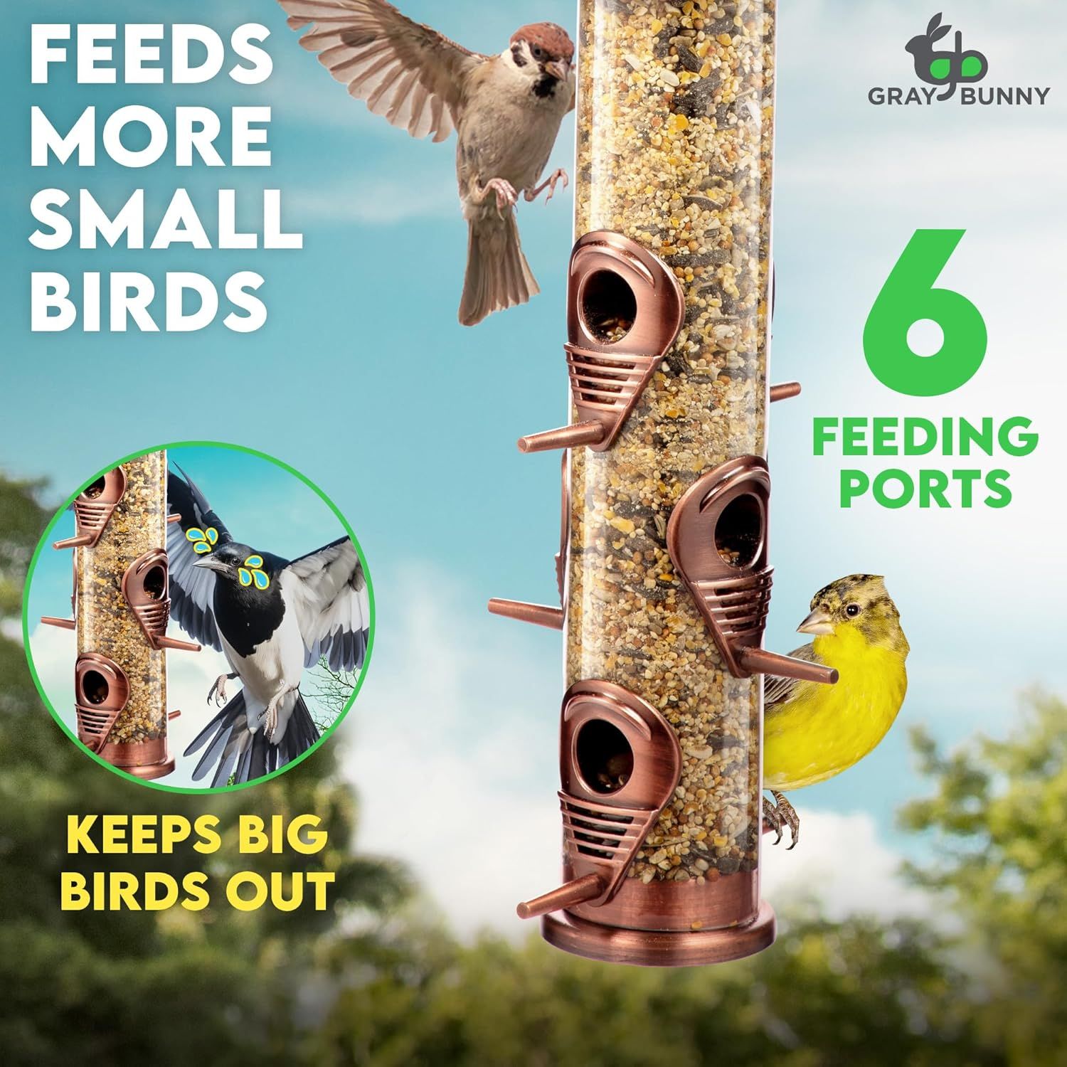 Communicates two key benefits: the feeder has 6 feeding ports to attract more small birds, and its design keeps larger birds out, solving a common bird feeder…