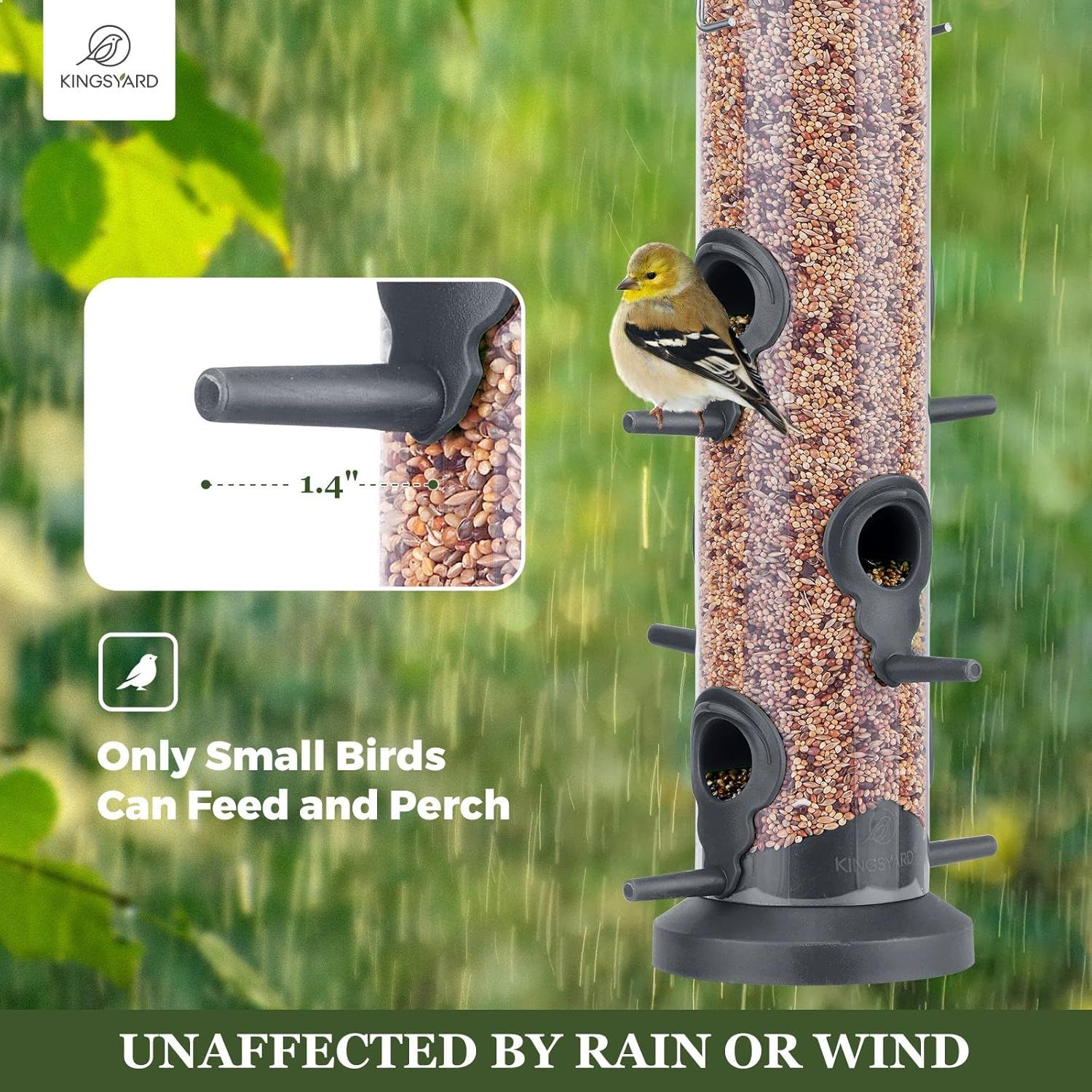 Highlights the specific 1.4-inch perch hole design that allows only small birds to feed and perch, demonstrating the product's selective feeding feature and weather resistance. Communicates the key…