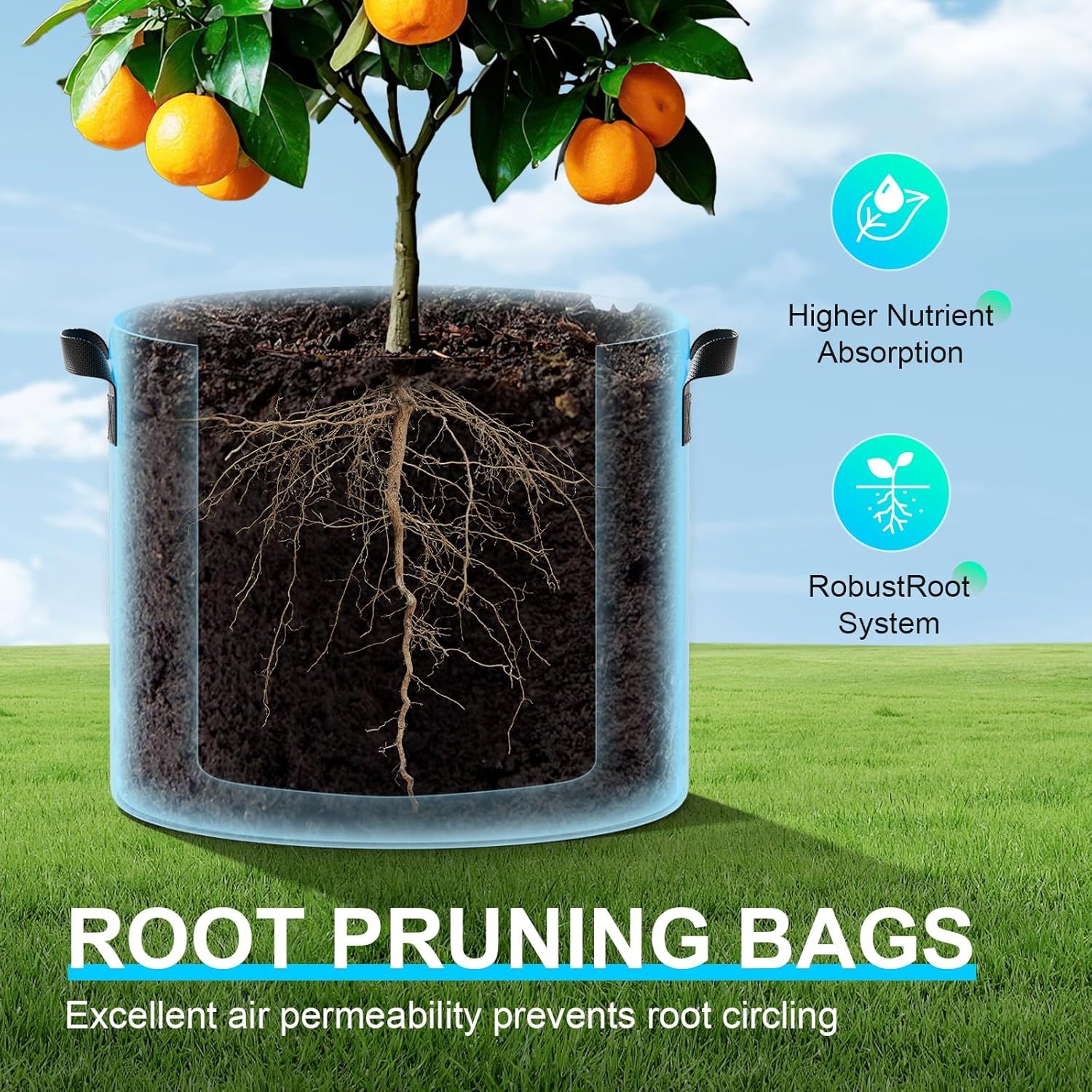 Communicates multiple distinct benefits of the root pruning bags through visually segmented callouts with icons, showing how the product promotes healthier…