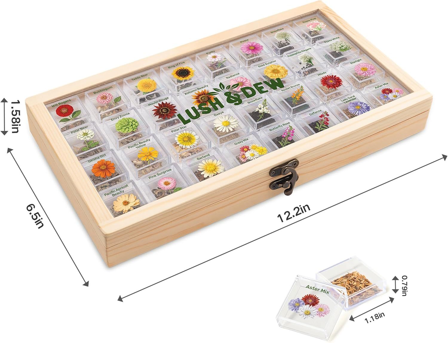 Communicates the exact physical dimensions of the seed storage box and individual seed packets to help shoppers understand the product's size and storage capacity.