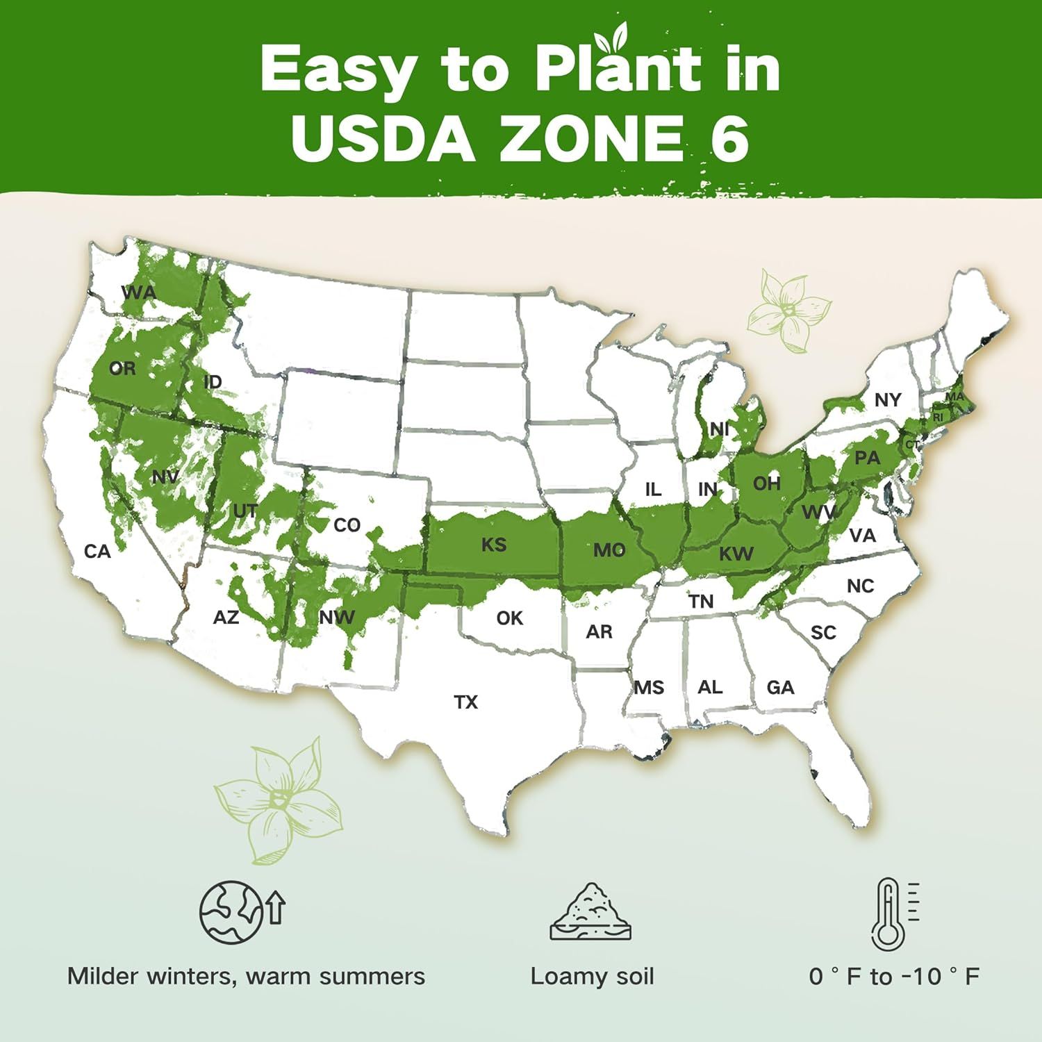 Reassures shoppers that the product is suitable for planting in USDA Zone 6, providing geographic compatibility information to help them make an informed purchase decision. Communicates the ease of…