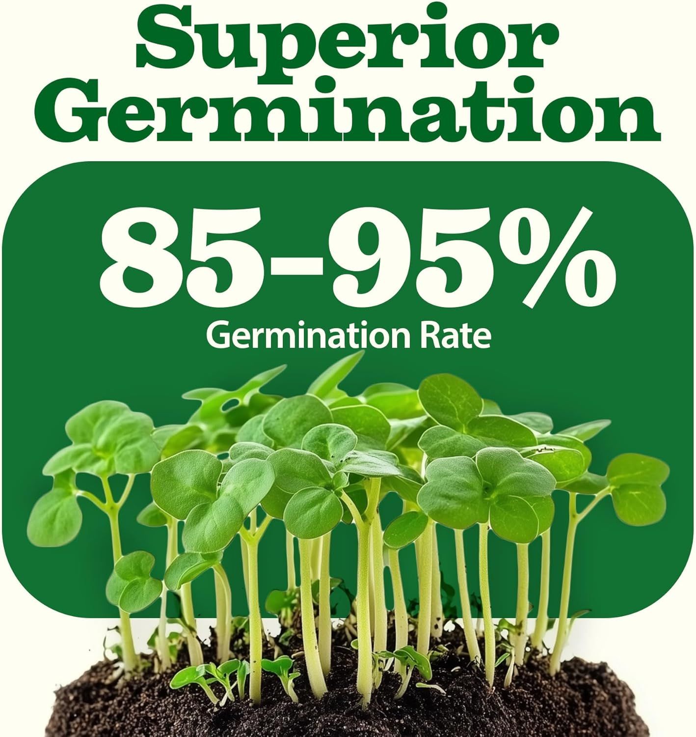 Communicates the product's superior germination performance with a bold percentage range to reassure shoppers of seed quality and reliability. Highlights the key benefit of excellent seed…
