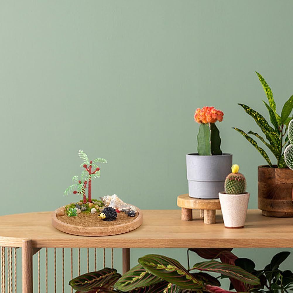Demonstrates how the product fits naturally into a modern home environment, showing its aesthetic appeal and decorative use alongside other plants and home…