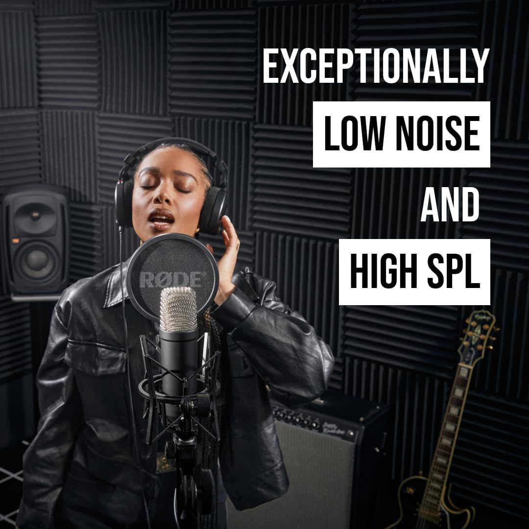 Communicates the microphone's dual technical advantages of exceptionally low noise performance and high sound pressure level handling, appealing to professional audio users who need both quiet…