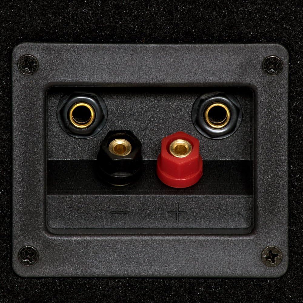 Shows the physical connection ports and terminals of the speaker system, helping shoppers understand the input/output options and how to connect their audio…