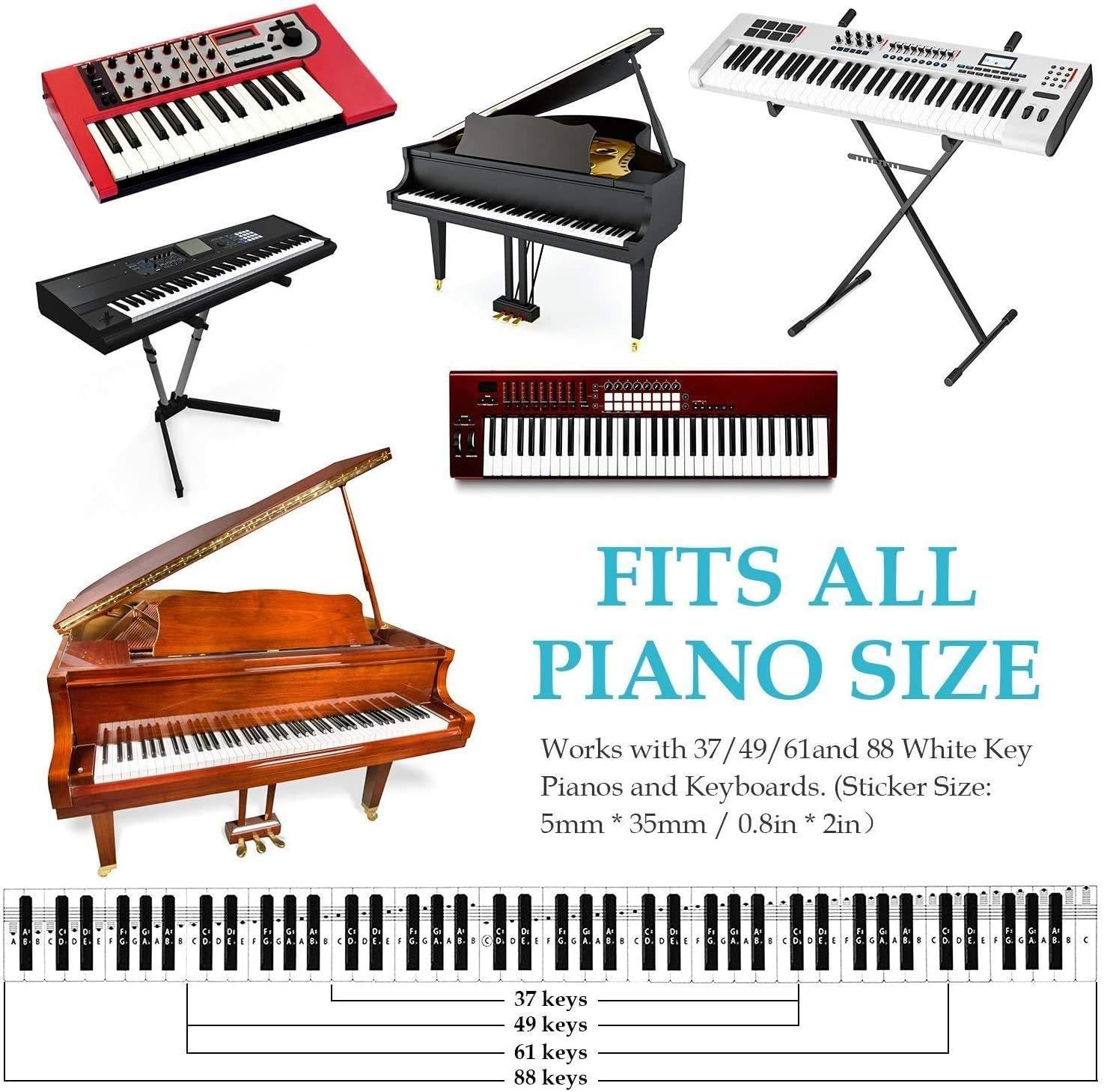 Demonstrates that the product (likely stickers or accessories) is compatible with multiple piano and keyboard models of varying sizes, reassuring shoppers of universal fit.