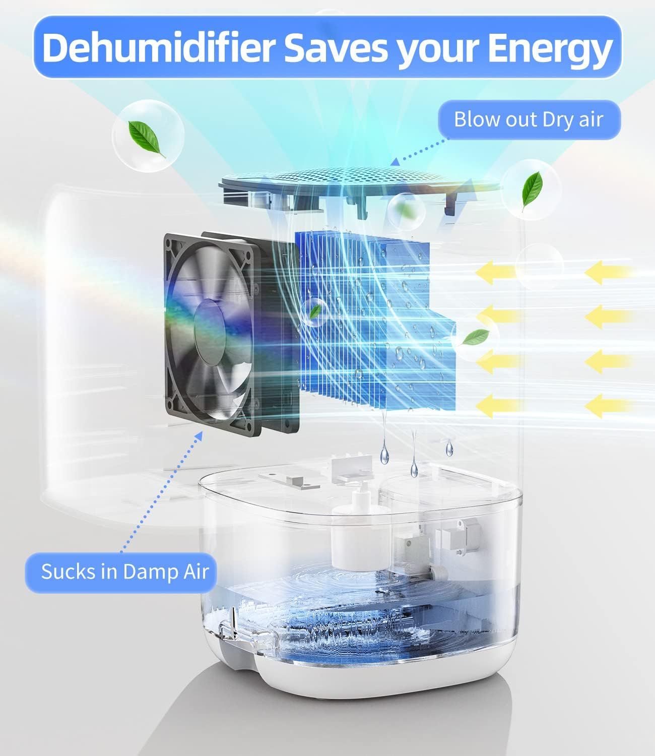 This image breaks down the dehumidifier's internal structure to show how it works: damp air is sucked in, processed through filters and cooling elements, and…