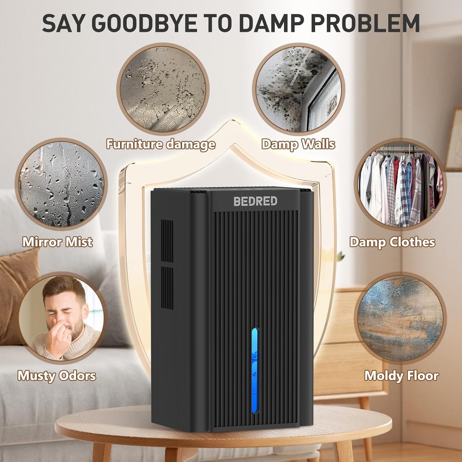 Demonstrates the multiple damp-related problems the dehumidifier solves, including furniture damage, damp walls, mirror mist, musty odors, damp clothes, and…
