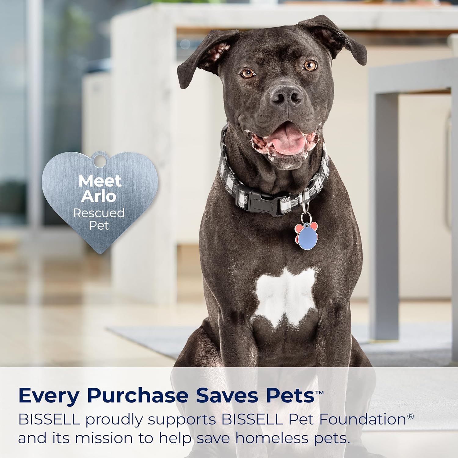 Communicates the brand's commitment to animal welfare and social responsibility by highlighting their partnership with BISSELL Pet Foundation to save homeless…