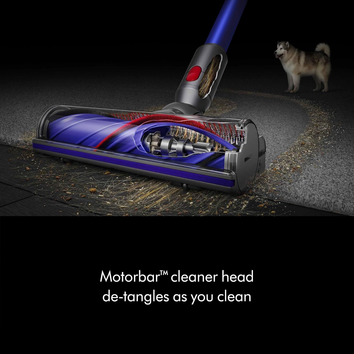 Shows the internal structure and mechanism of the vacuum cleaner head to demonstrate how the Motorbar technology works to prevent hair tangles during…